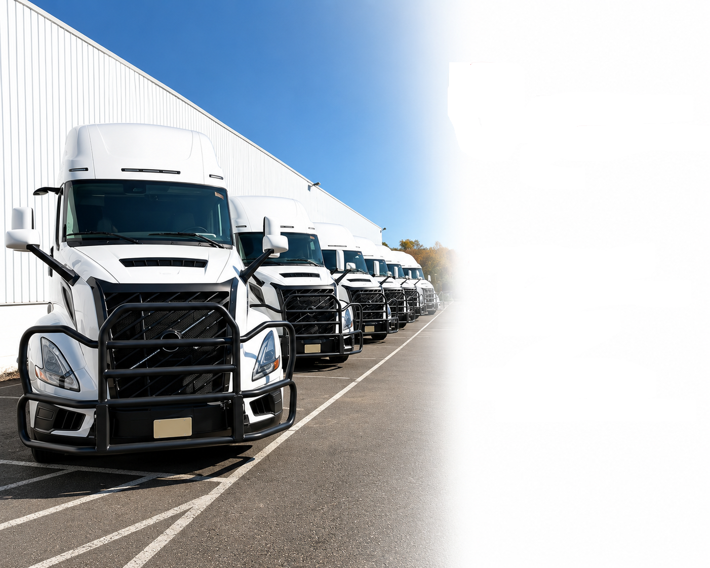 Deer Guard Volvo VNL / Heavy Duty Grill Guard / PVC Coated